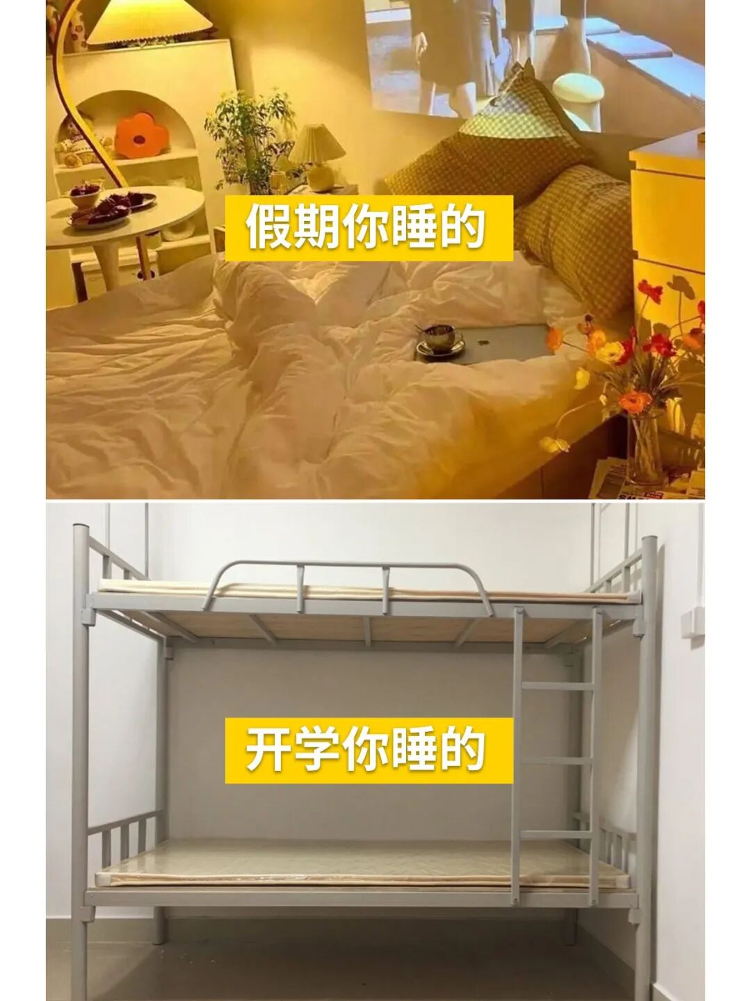 作者头像